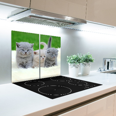 Snijplank van glas Drie katten op de deken