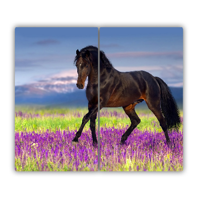 Snijplank van glas Paard op het veld lavendel