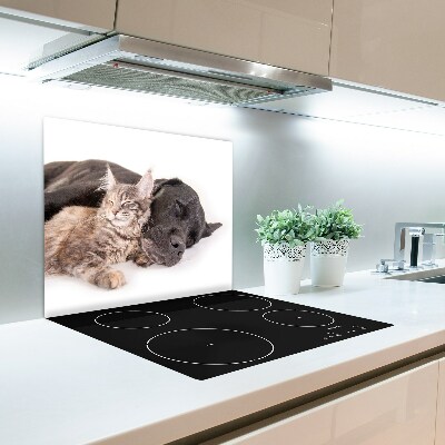 Glazen afdekplaat kookplaat Hond met een kat