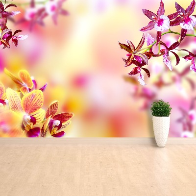 Zelfklevend fotobehang Roze orchidee