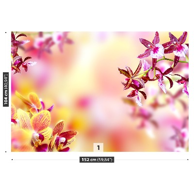 Zelfklevend fotobehang Roze orchidee