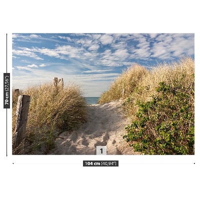 Fotobehang Pad door de duinen