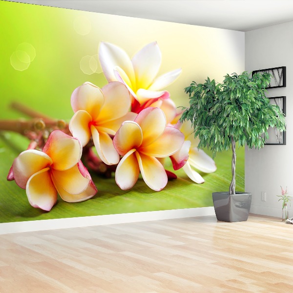 Zelfklevend fotobehang Frangipani bloemen