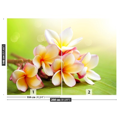 Zelfklevend fotobehang Frangipani bloemen