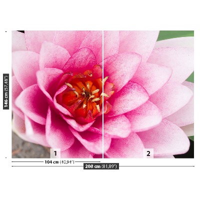Zelfklevend fotobehang Lotusbloem