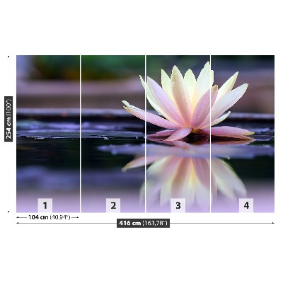 Zelfklevend fotobehang Lotus