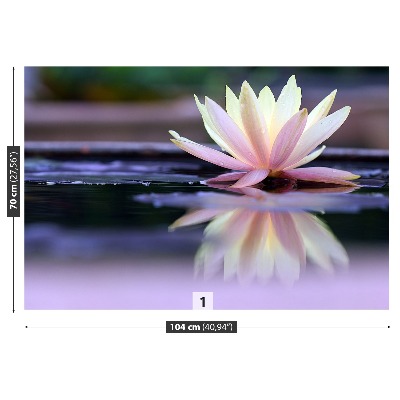 Zelfklevend fotobehang Lotus