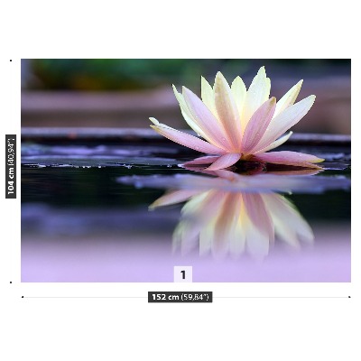 Zelfklevend fotobehang Lotus