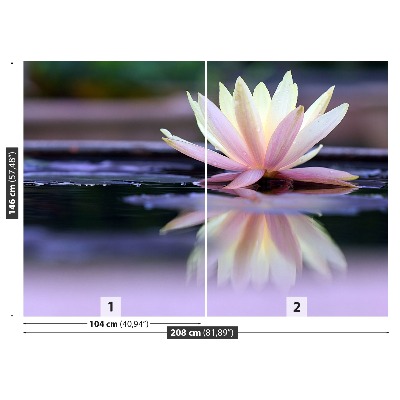 Zelfklevend fotobehang Lotus