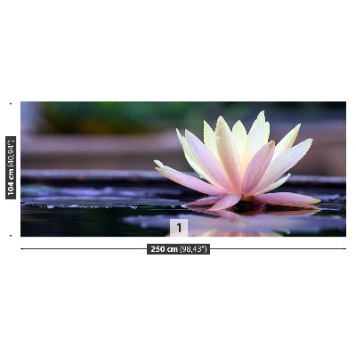 Zelfklevend fotobehang Lotus