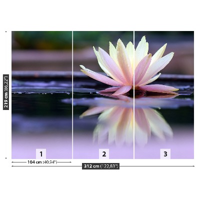 Zelfklevend fotobehang Lotus