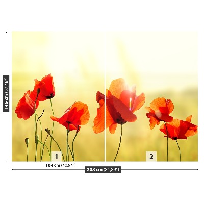 Zelfklevend fotobehang Papaver