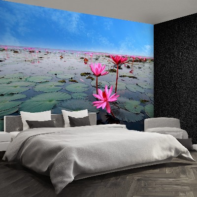 Zelfklevend fotobehang Lotusbloem