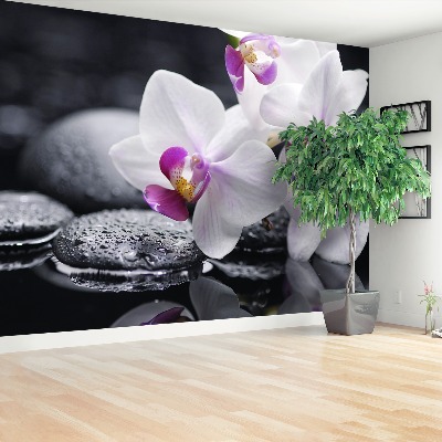 Zelfklevend fotobehang Orchidee