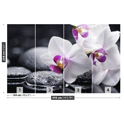 Zelfklevend fotobehang Orchidee