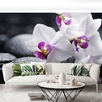 Zelfklevend fotobehang Orchidee