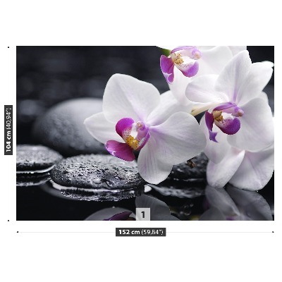 Zelfklevend fotobehang Orchidee