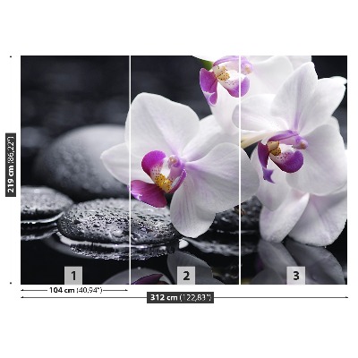 Zelfklevend fotobehang Orchidee