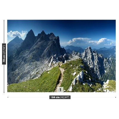 Fotobehang Alpen slovenië