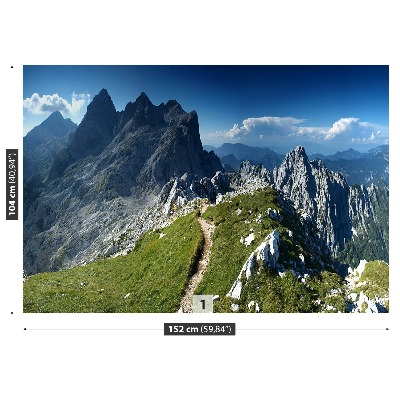 Fotobehang Alpen slovenië