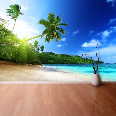 Fotobehang Strand in seychellen