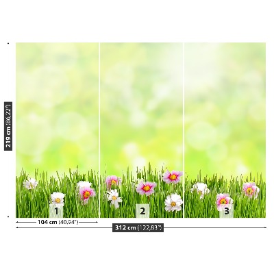 Zelfklevend fotobehang Grasbloemen