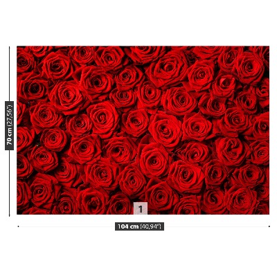 Zelfklevend fotobehang Rode rozen