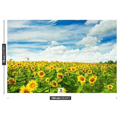 Fotobehang Gebied van zonnebloemen