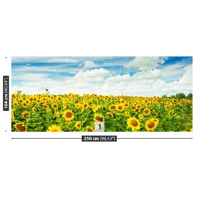 Fotobehang Gebied van zonnebloemen