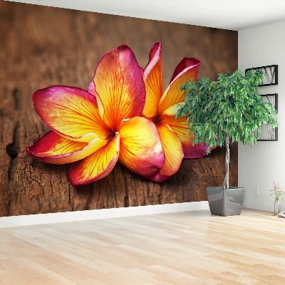 Zelfklevend fotobehang Plumeria wood