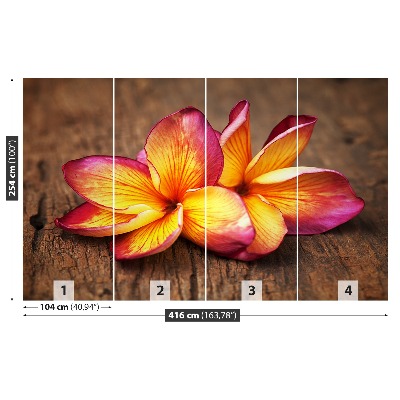 Zelfklevend fotobehang Plumeria wood