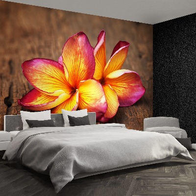 Zelfklevend fotobehang Plumeria wood