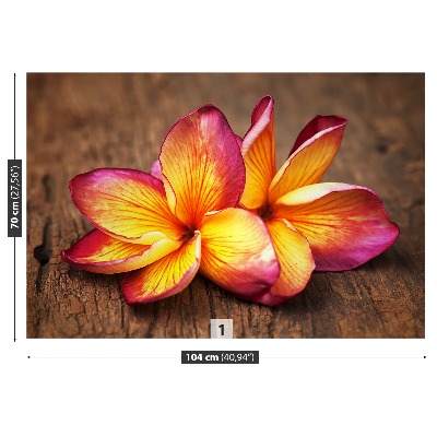 Zelfklevend fotobehang Plumeria wood