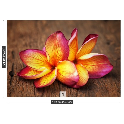 Zelfklevend fotobehang Plumeria wood