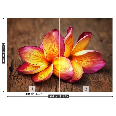 Zelfklevend fotobehang Plumeria wood