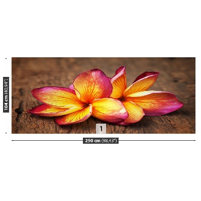 Zelfklevend fotobehang Plumeria wood