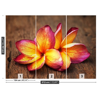 Zelfklevend fotobehang Plumeria wood