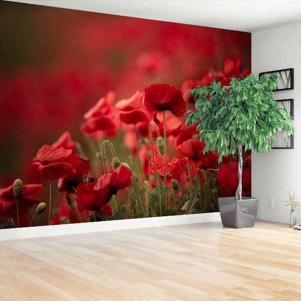 Zelfklevend fotobehang Poppy bloemen