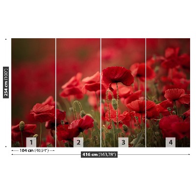 Zelfklevend fotobehang Poppy bloemen