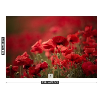 Zelfklevend fotobehang Poppy bloemen