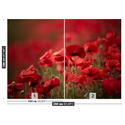 Zelfklevend fotobehang Poppy bloemen