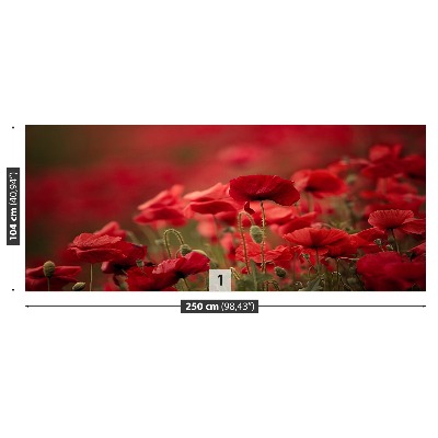 Zelfklevend fotobehang Poppy bloemen