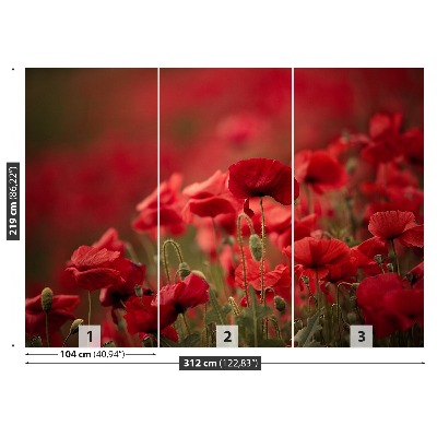 Zelfklevend fotobehang Poppy bloemen