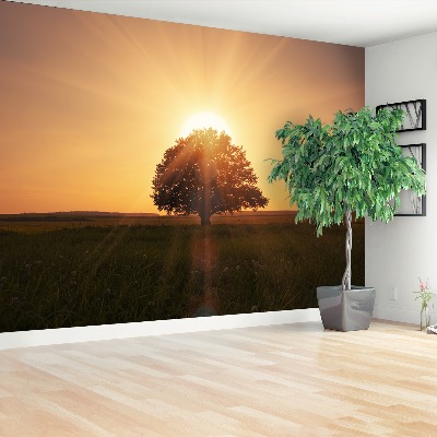 Fotobehang Zonsopgangboom