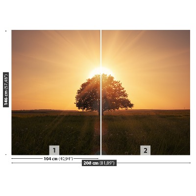 Fotobehang Zonsopgangboom