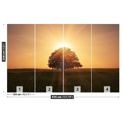 Fotobehang Zonsopgangboom