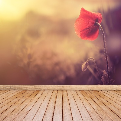 Zelfklevend fotobehang Poppy zaad bloem