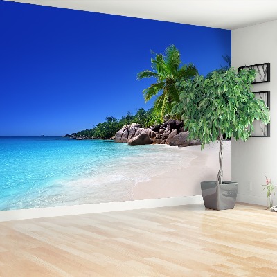 Fotobehang Seychellen beach