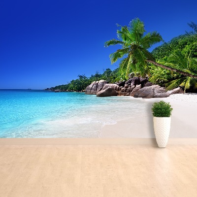 Fotobehang Seychellen beach