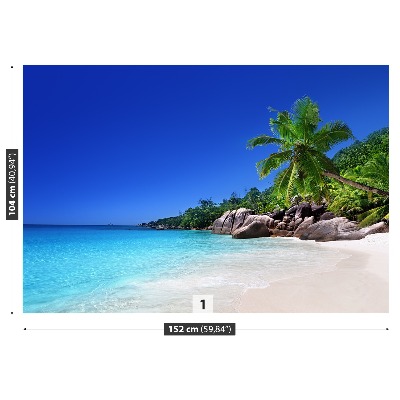 Fotobehang Seychellen beach